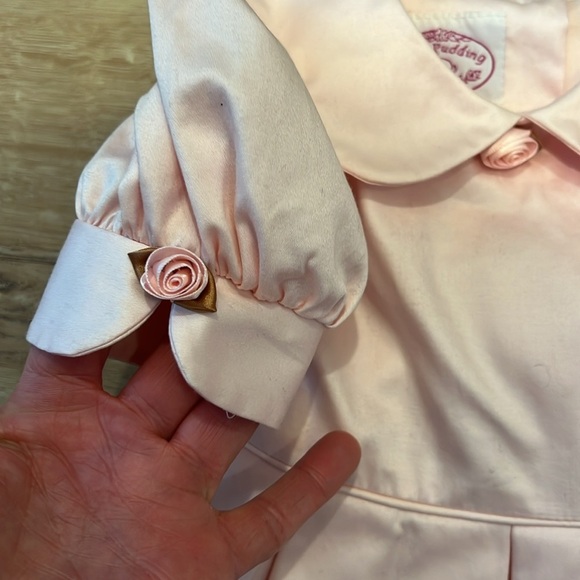 Plum Pudding vintage Pink Dress with puffy sleeves Size -3T - Picture 2 of 8